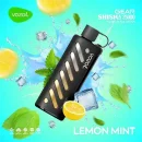 Vozol Gear Shisha 25000 Puffs Disposable Vape In UAE