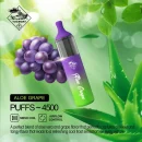 Tugboat EVO 4500 Puffs Disposable Vape in Dubai UAE